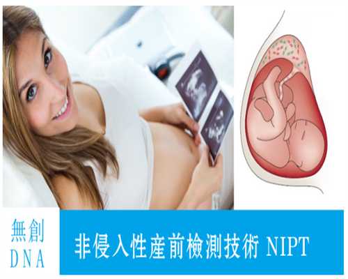 香港dna 验血报告单,备孕吃叶酸有助于怀孕吗