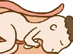 香港验血报告网络查询,专业的查验性别部分百分百牢靠 验血测男女什么时间最