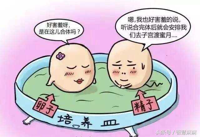 香港验血检验报告的单,试管婴儿是怎么来的？听着过程都觉得疼，原来妈妈遭