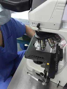 香港时代基因验血报告1至16,试管日记之试管取卵手术全过程